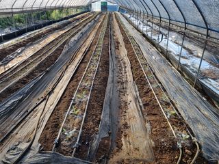 장례지도사1급님의 자유주제 · 자유게시판 작성글 사진