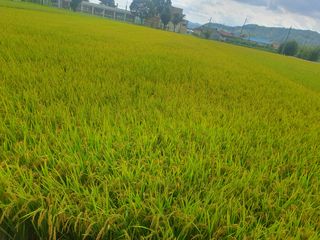 블루베리14534님의 자유주제 · 자유게시판 작성글 사진