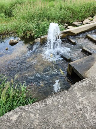 보은 김영순님의 자유주제 · 자유게시판 작성글 사진