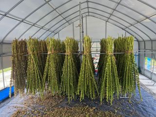 아침못자연농원님의 자유주제 · 자유게시판 작성글 사진