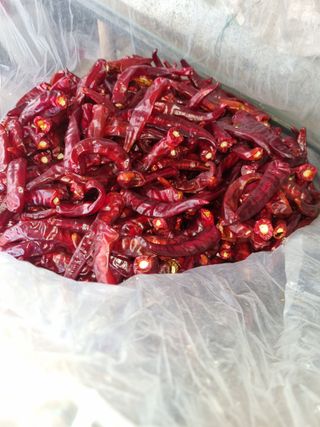 준영님의 최고의 제초제는 무엇인가요? · 참여 작성글 사진