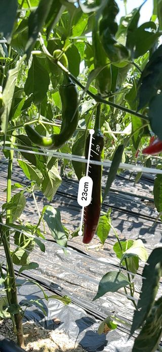 이재운님의 작성글 사진