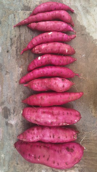 김용환님의 자유주제 · 자유게시판 작성글 사진