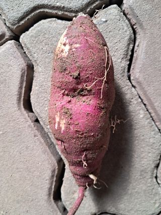 전희분님의 자유주제 · 자유게시판 작성글 사진