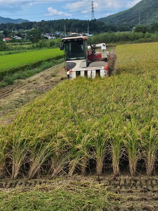 윤재하님의 자유주제 · 자유게시판 작성글 사진