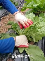 팜모닝 농사, 무엇이든 물어보세요!·참여글 게시글 이미지