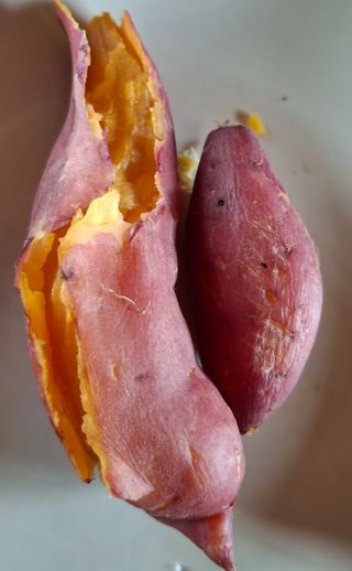 윤영숙소화데레사님의 자유주제 · 자유게시판 작성글 사진