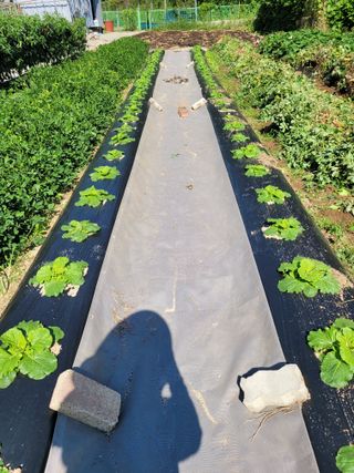 땅땅님의 자유주제 · 자유게시판 작성글 사진