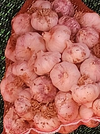 복숭아님의 자유주제 · 자유게시판 작성글 사진