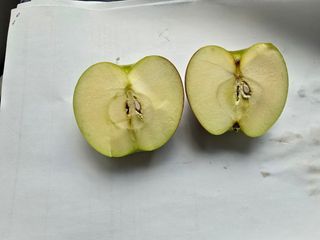 주당김농부님의 농사, 무엇이든 물어보세요! · 참여글 작성글 사진