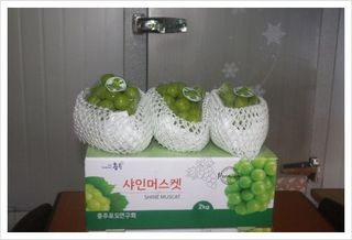 최재근님의 자유주제 · 자유게시판 작성글 사진