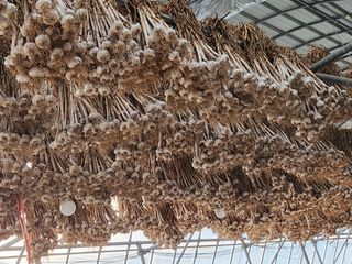 복숭아님의 자유주제 · 자유게시판 작성글 사진