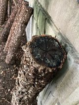 팜모닝 농사, 무엇이든 물어보세요!·참여글 게시글 이미지