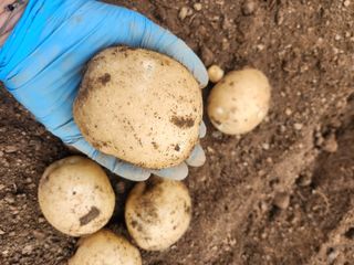 복숭아님의 자유주제 · 자유게시판 작성글 사진