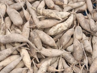 이창신님의 자유주제 · 자유게시판 작성글 사진