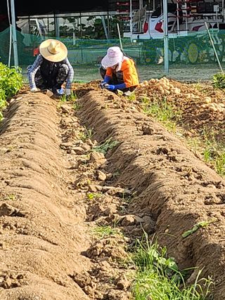 복숭아님의 자유주제 · 자유게시판 작성글 사진
