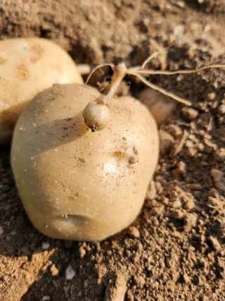 복숭아님의 자유주제 · 자유게시판 작성글 사진