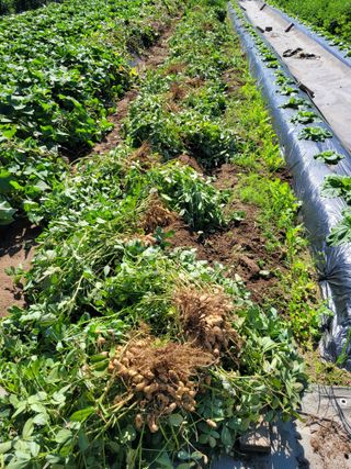 땅땅님의 자유주제 · 자유게시판 작성글 사진