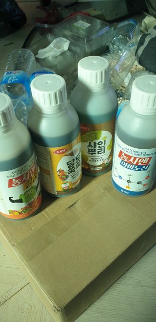 토마토아부지왕궁면님의 자유주제 · 자유게시판 작성글 사진