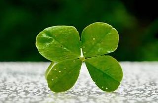 젠틀맨님의 작성글 사진