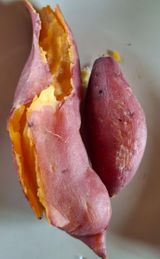 팜모닝 고구마·자유게시판 게시글 이미지