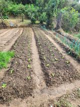 팜모닝 자유주제·자유게시판 게시글 이미지