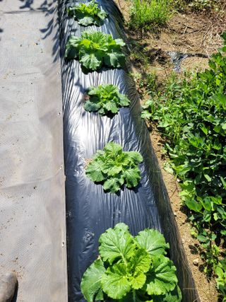 땅땅님의 자유주제 · 자유게시판 작성글 사진