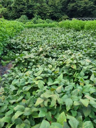 감20280님의 자유주제 · 자유게시판 작성글 사진