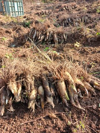 황덕순 님의 자유주제 · 자유게시판 작성글 사진