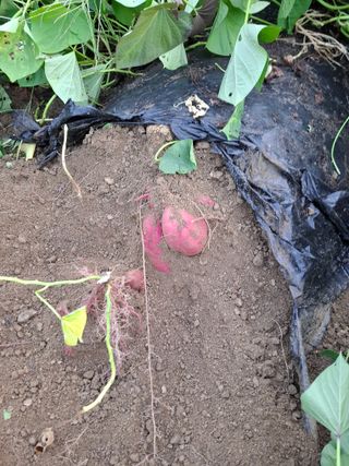 문영식님의 자유주제 · 자유게시판 작성글 사진