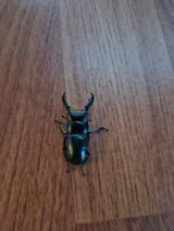 팜모닝 자유주제·자유게시판 게시글 이미지