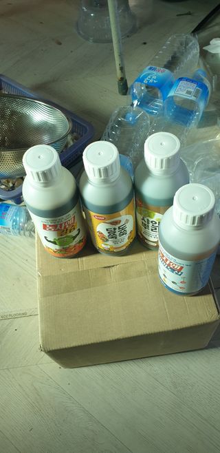 토마토아부지왕궁면님의 자유주제 · 자유게시판 작성글 사진