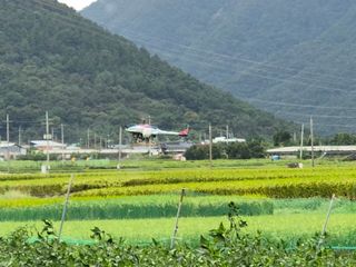 사천시향촌동 돼지띠님의 자유주제 · 자유게시판 작성글 사진