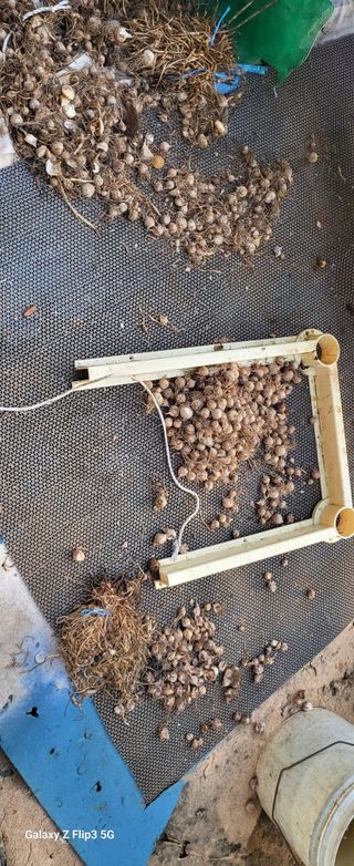 양일봉님의 자유주제 · 자유게시판 작성글 사진