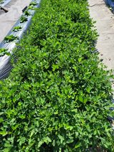 팜모닝 자유주제·자유게시판 게시글 이미지