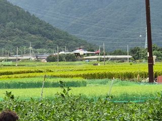 사천시향촌동 돼지띠님의 자유주제 · 자유게시판 작성글 사진