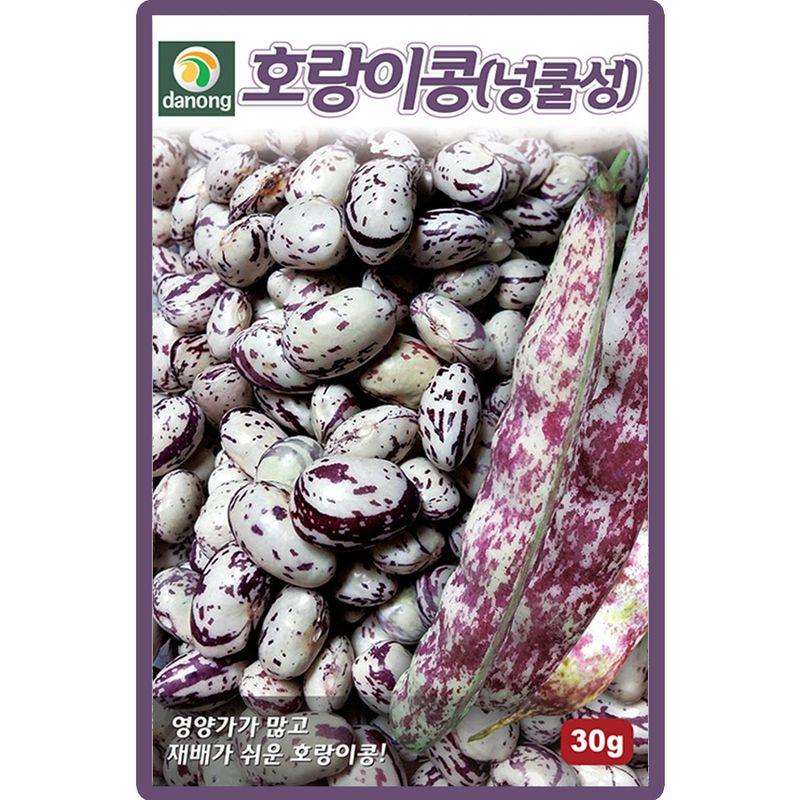 장터 상품 [호랑이콩 씨앗 30g 넝쿨성 종자 5개+랜덤씨앗1개 증정] 썸네일