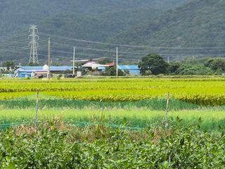 사천시향촌동 돼지띠님의 자유주제 · 자유게시판 작성글 사진