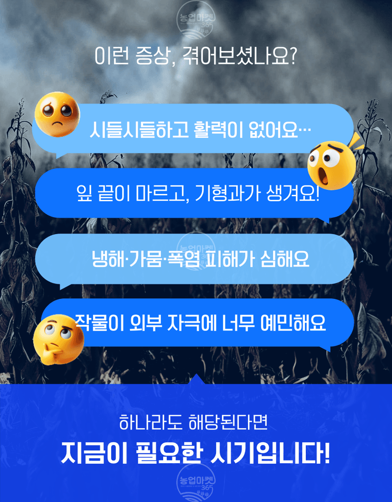 농업마켓365님의 장터 판매 상품 [농업마켓365 융전 해조크림 액제 500ml 유기농업재재 해조추출물 냉해 서리 동해 생리장해 환경장해 아미노산 사과] 첨부 사진