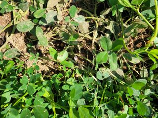 땅땅님의 자유주제 · 자유게시판 작성글 사진