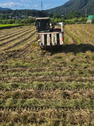 윤재하님의 자유주제 · 자유게시판 작성글 사진