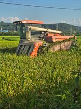 팜모닝 자유주제·자유게시판 게시글 이미지