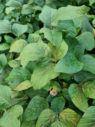 감20280님의 자유주제 · 자유게시판 작성글 사진