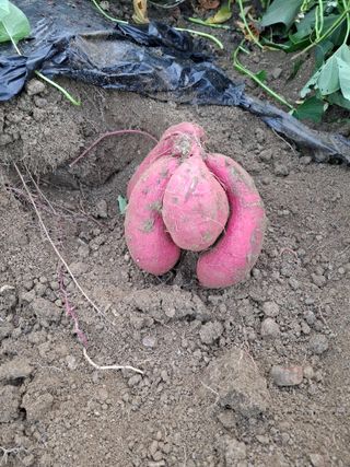 문영식님의 자유주제 · 자유게시판 작성글 사진