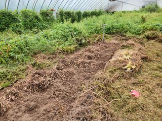 이창신님의 자유주제 · 자유게시판 작성글 사진