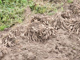 이창신님의 자유주제 · 자유게시판 작성글 사진