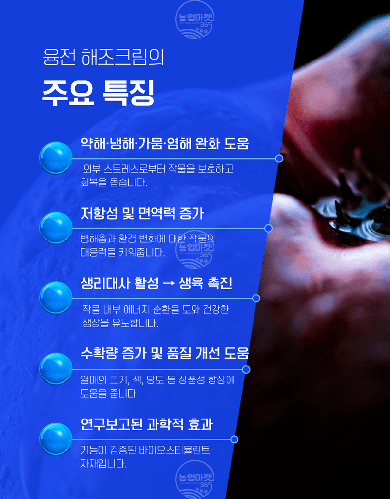 농업마켓365님의 장터 판매 상품 [농업마켓365 융전 해조크림 액제 500ml 유기농업재재 해조추출물 냉해 서리 동해 생리장해 환경장해 아미노산 사과] 첨부 사진