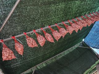 복숭아님의 자유주제 · 자유게시판 작성글 사진