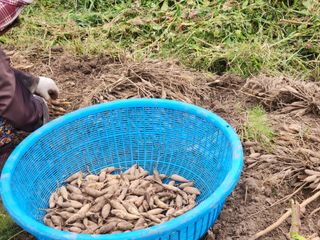 이창신님의 자유주제 · 자유게시판 작성글 사진