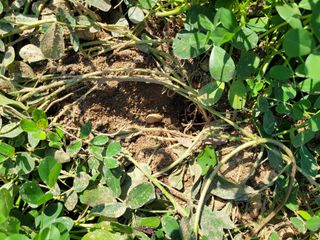 땅땅님의 자유주제 · 자유게시판 작성글 사진